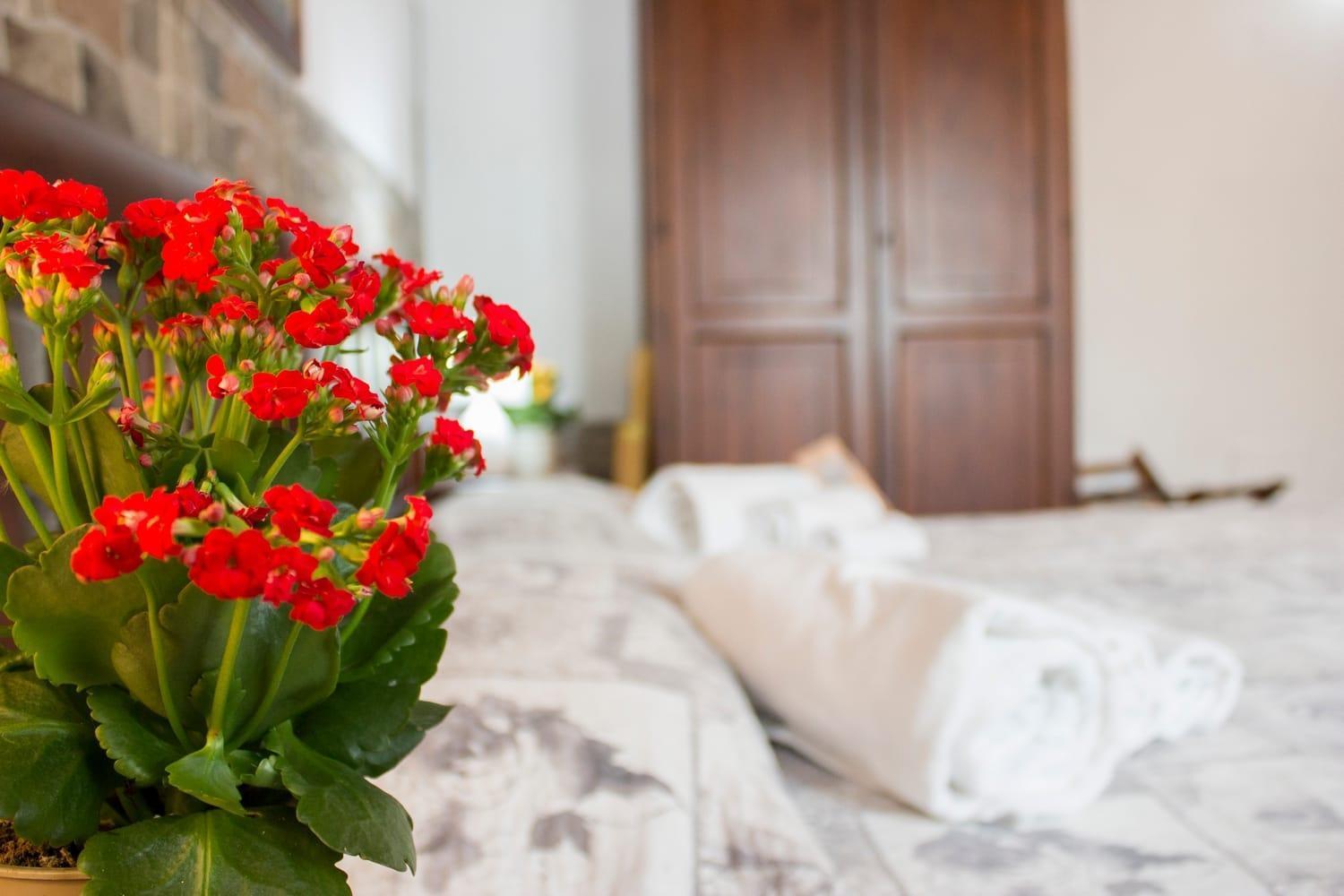 La Locanda Di Giada E Giorgia Guest house Pisa